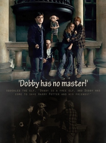  Dobby is a free elf!