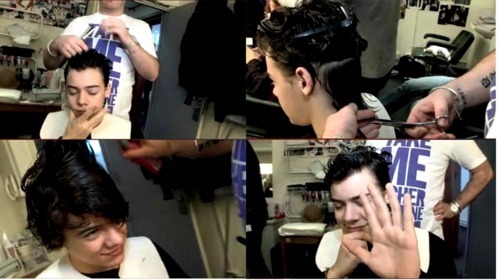  Flirty Harry Getting His Hair Cut :) x