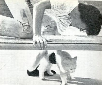 George and a cat