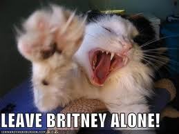  LEAVE BRITNEY ALONE