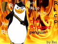 Rico the ripper penguin - penguins-of-madagascar fan art