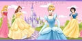 Snow White,Cinderella,Aurora and Belle - disney-princess photo