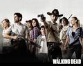 Wallpaper - The Walking Dead  - the-walking-dead photo