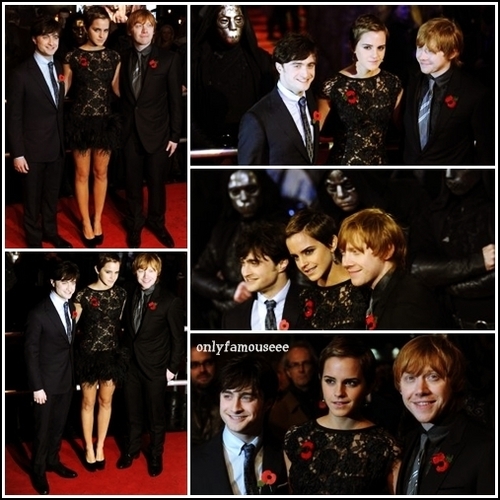  harry ,ron and hermione