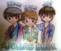 sorry if repeated - the-jonas-brothers photo