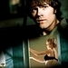 1.16 - Shadow - winchesters-journal icon