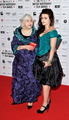 2010 Moet British Independent Film Awards - harry-potter photo