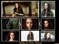 Bella in New Moon - twilight-series fan art