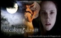 Breaking Dawn (Amanecer) - twilight-series photo