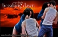 Breaking Dawn (Amanecer) - twilight-series photo