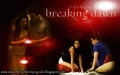 twilight-series - Breaking Dawn (Amanecer) wallpaper