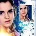 Hermione {HP & The Goblet of Fire} - hermione-granger icon