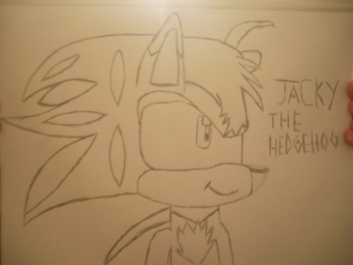  Jacky the hedgehog