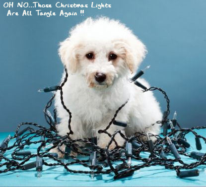 OH NO..Those Christmas Lights Are All Tangled Again !!