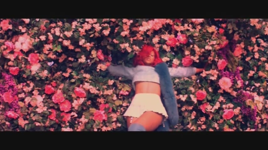 Rihanna Image: Only Girl (In The World) Music Video.
