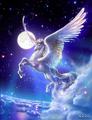 Pegasus - bright-colors photo