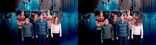  Ron and Hermione