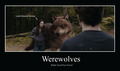 Werwolves better food then friends - twilight-series photo