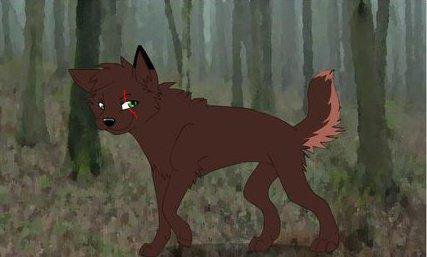  serigala, wolf Me