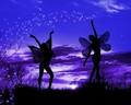 beautiful fairies - fairies photo
