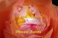 ♥Princess Aurora♥ - princess-aurora fan art