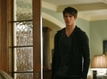 the-vampire-diaries - 2x11 - By the Light of the Moon screencap
