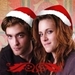 Christmas avi - twilight-series icon