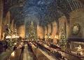 Christmas in the great hall - harry-potter photo