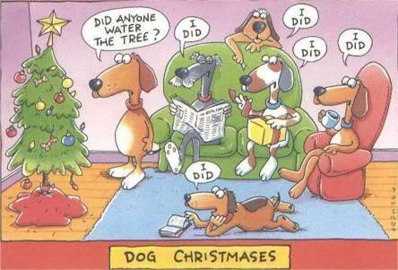  Funny Dog Weihnachten