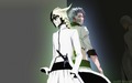 bleach-anime - Grimmjow and Ulquiorra wallpaper