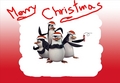 MerryPOM:) - penguins-of-madagascar fan art