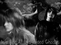 Misguided Ghosts - paramore photo
