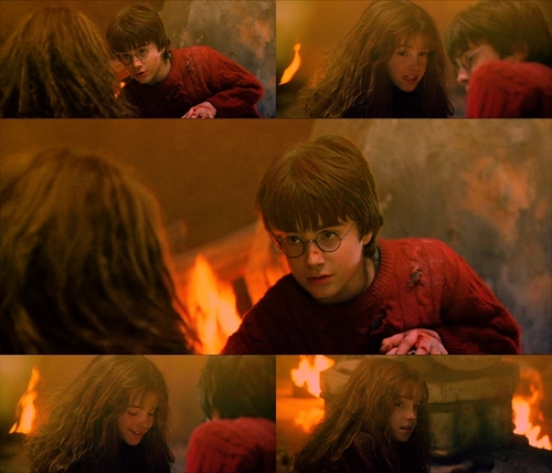  Harry Potter and the Philosopher’s Stone