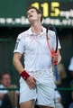 Andy Murray sexy - tennis photo
