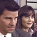 BB <3 - booth-and-bones icon