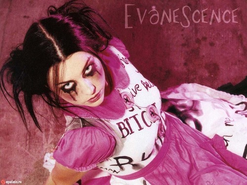  Evanescence achtergronden