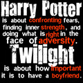 Harry Potter vs Twilight - harry-potter-vs-twilight fan art