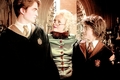 Cedric, Harry & Rita Skeeter :)) - harry-potter photo