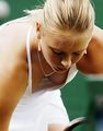 Maria Sharapova breast - tennis photo