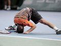 Radek Stepanek - tennis photo