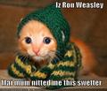 Ron Weasley Sweater - harry-potter photo