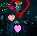 Voldemort through Bellatrix's eyes - harry-potter photo