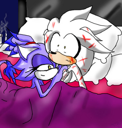 Silvaze Images Wild Night Xd Wallpaper And Background