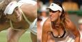 Women Radek Stepanek: Hingis and Vaidisova - tennis photo