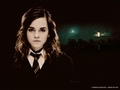 hermione granger image - harry-potter photo