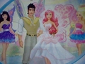 A Fairy Secret- The Image on the back of Princess Gracelia's box - barbie-movies photo