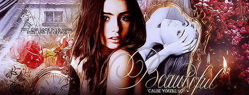  Clary Fray Banner