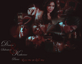 Damon & Katherine - Kiss me or Kill me - damon-salvatore photo