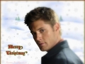 Dean - Merry Christmas 2010 - supernatural wallpaper