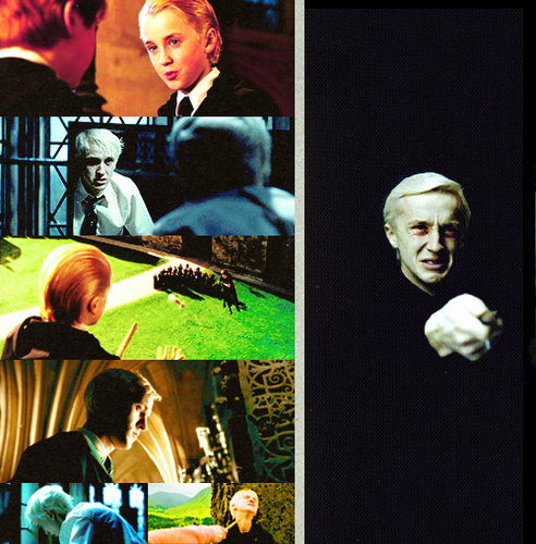 Draco <3